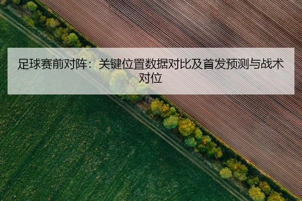 zu-qiu-sai-qian-dui-zhen-guan-jian-wei-zhi-shu-ju-dui-bi-ji-shou-fa-yu-ce-yu-zhan-shu-dui-wei-2-315.jpg